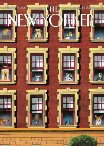 Dogwatch Apartments