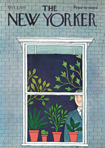 Window Botanica