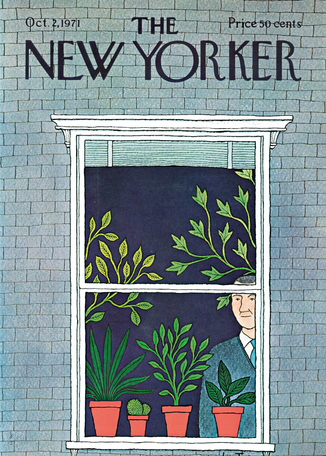 Window Botanica